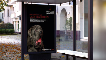 Hixcox: City-Light-Plakat mit Hund